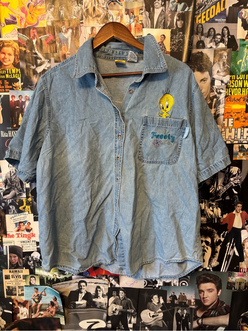 Warner Bros. Light Blue Denim Tweety Button-Down Shirt